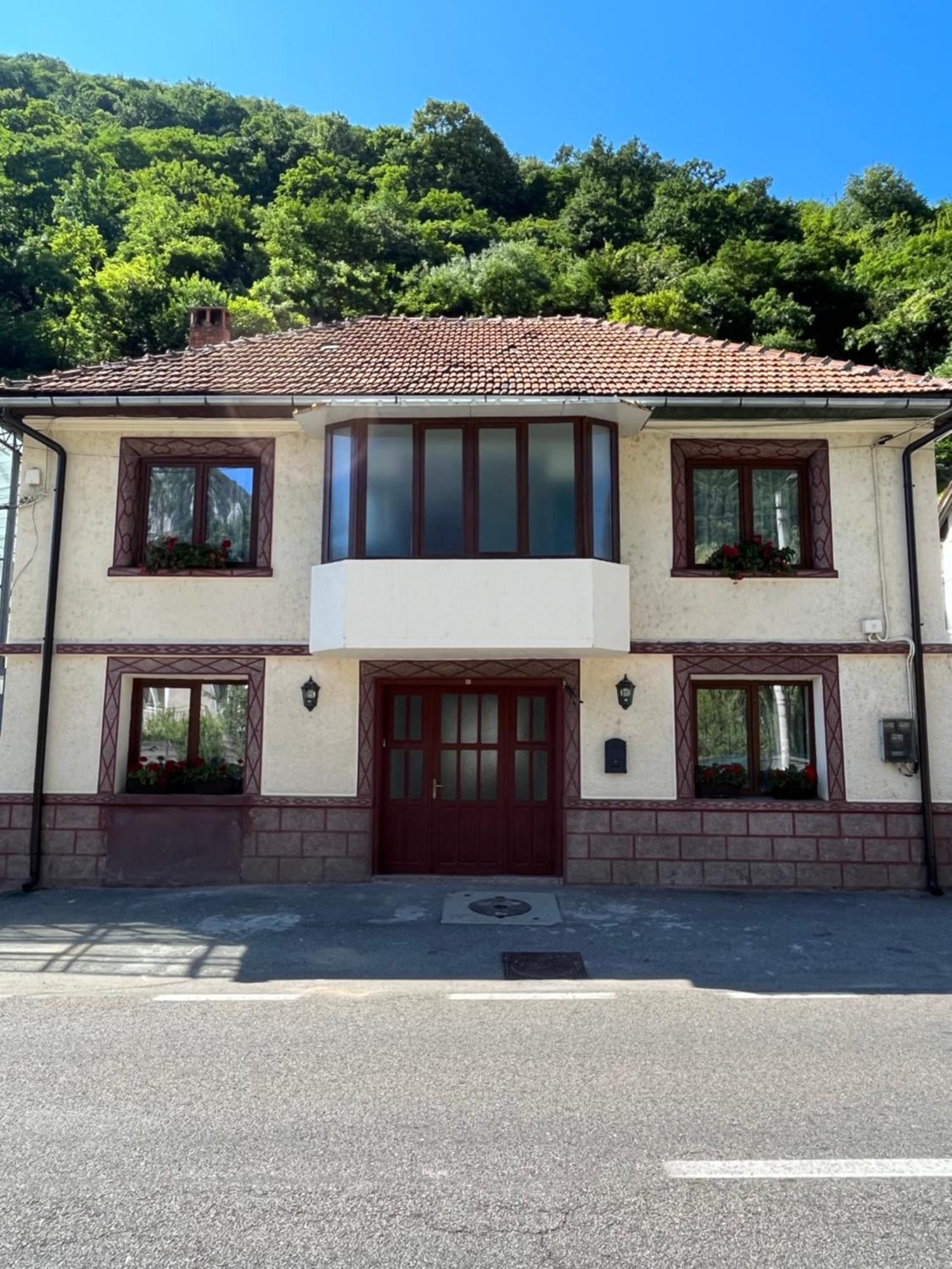 Hotel Gasthaus Vld Băile Herculane Zewnętrze zdjęcie